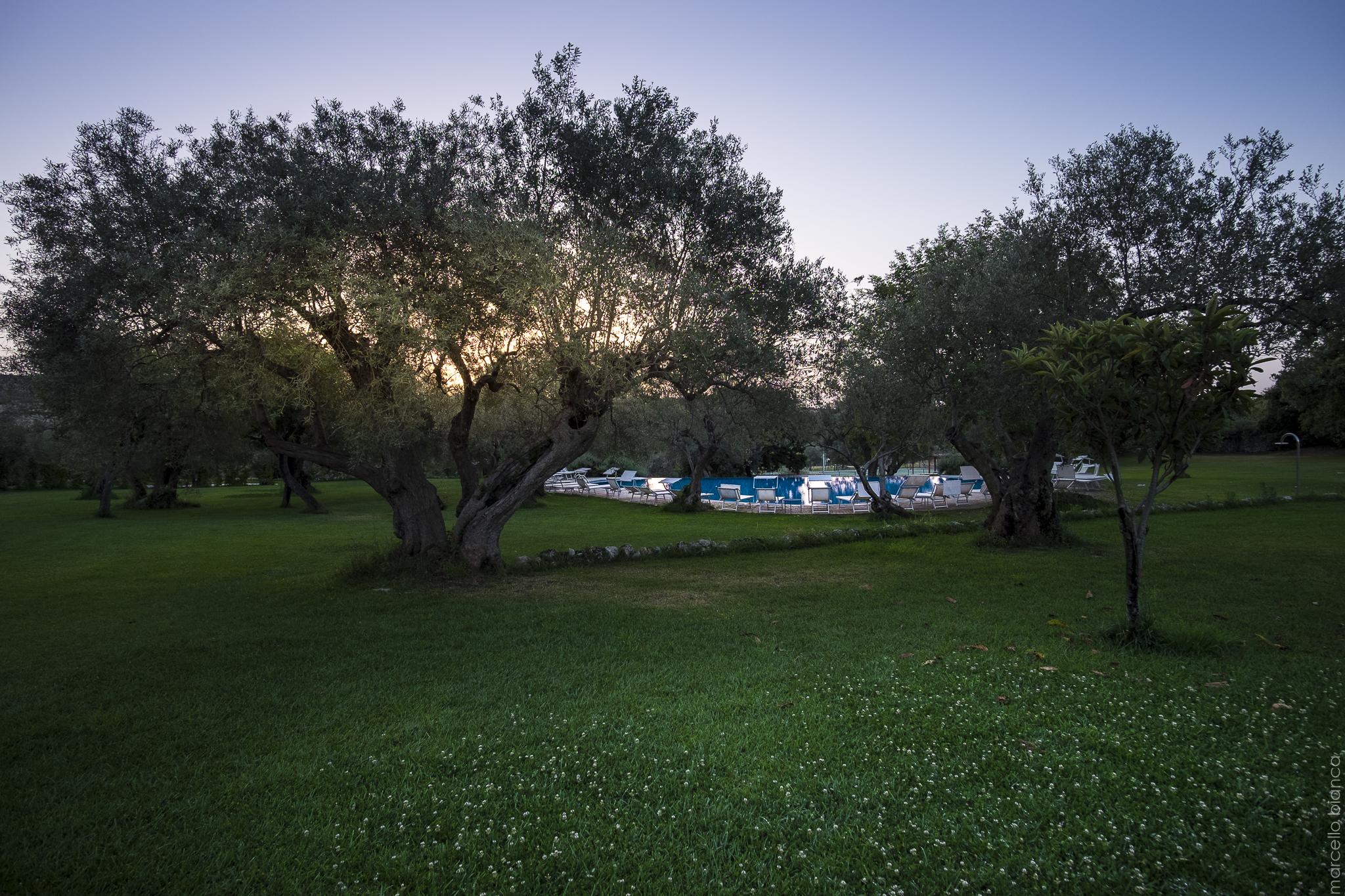 Masseria Degli Ulivi - Noto San Corrado di Fuori Exterior foto